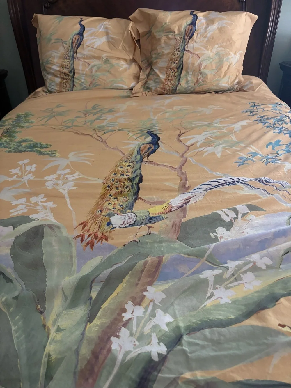 Williams Sonoma Painted Peacock Queen Duvet - Pr Euro Shams